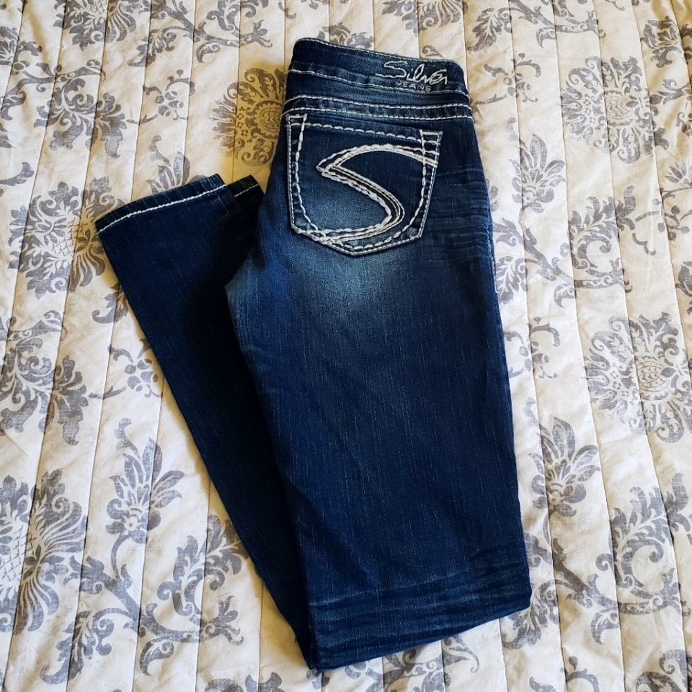 Silver Camden Skinny Jeans size 27x31